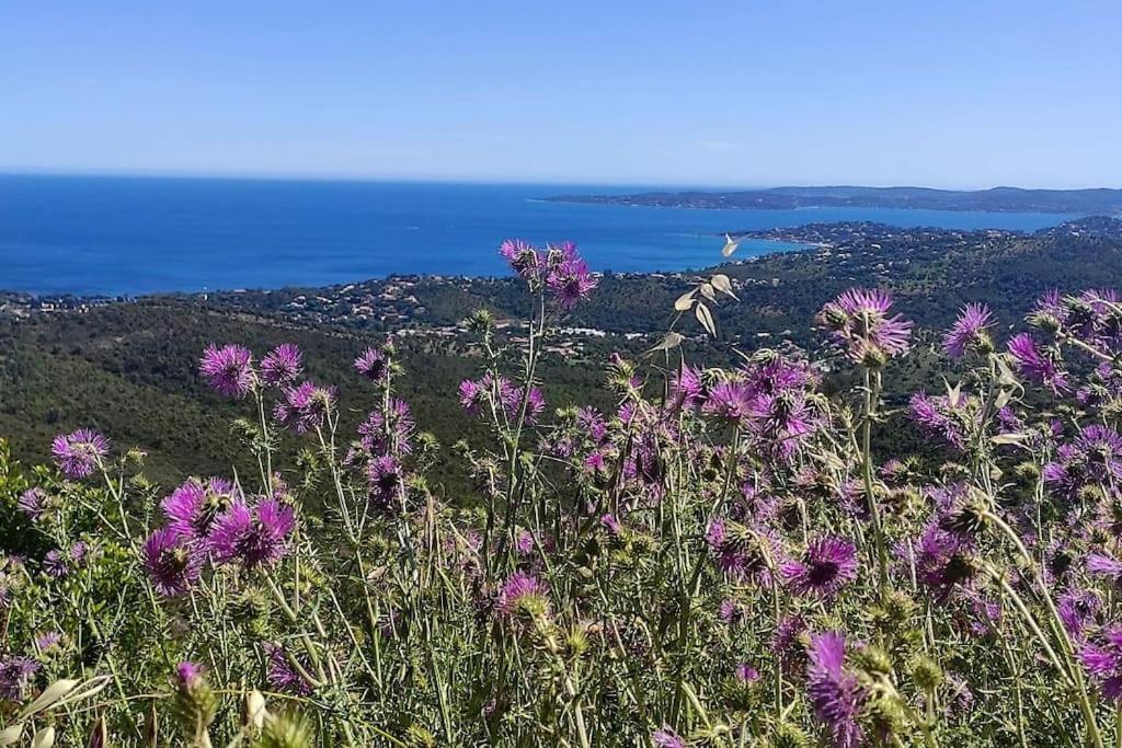 Aphrodite By Kleidos - Tres Belle Maison 6 P Climatisee Golfe Sainte Maxime Roquebrune-sur Argens Exterior foto